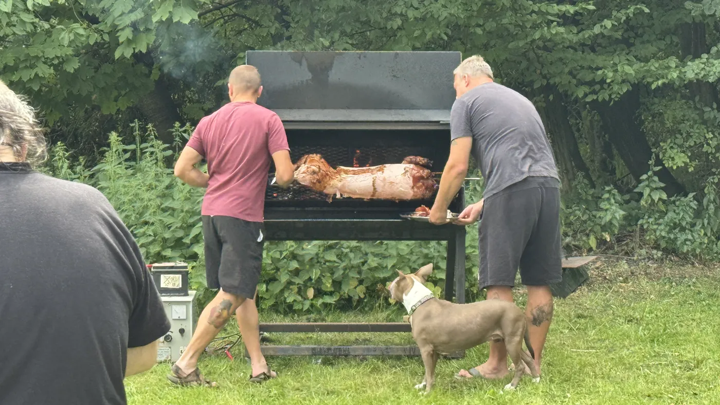 Grilování celého selete na zahradní akci